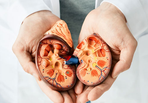 kidney-disease Disease
